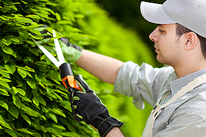 kertgondoz�s Balatonbogl�r