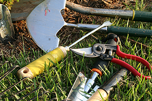 kertgondoz�s Balatonbogl�r